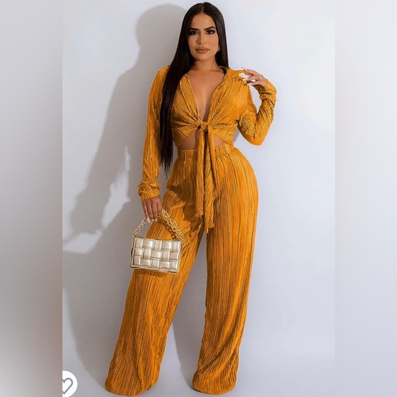 Spring Haze Gold Pleated Pant Set Size Large - Picture 3 of 16